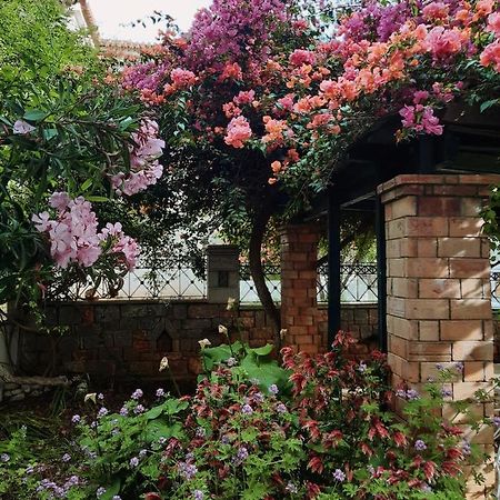 Veneto'S Garden Apartman Kardamíli Kültér fotó