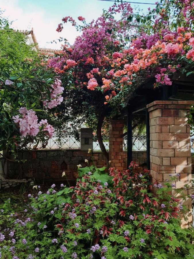 Veneto'S Garden Apartman Kardamíli Kültér fotó